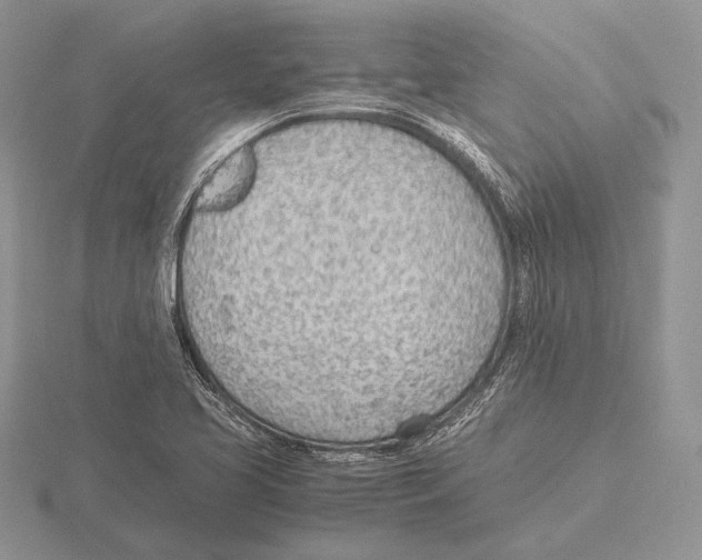 X0000115781413200912111117