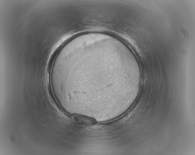 X0000115781414200912111117