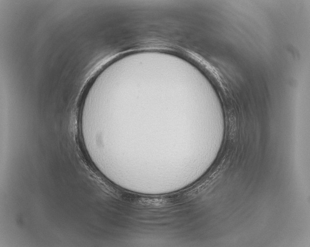 X0000115781415200912111117