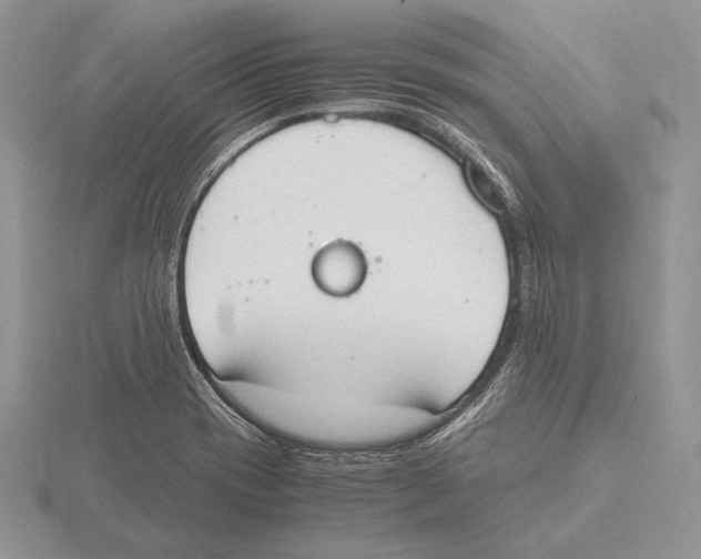 X0000115781417200912111117