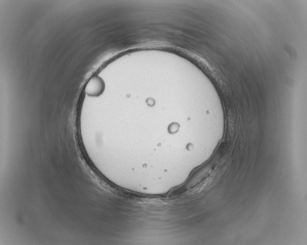 X0000115781422200912111117