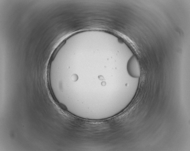 X0000115781423200912111117