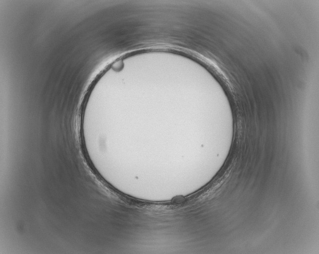 X0000115781424200912111117