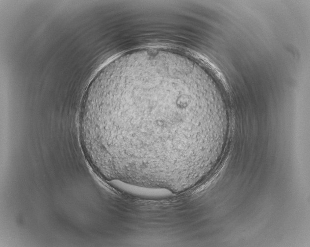 X0000115781425200912111117