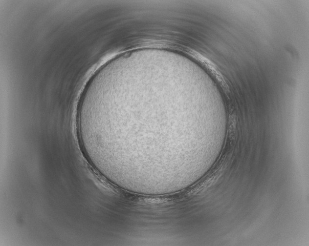 X0000115781427200912111117