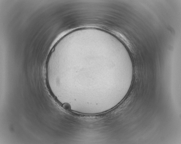 X0000115781428200912111118