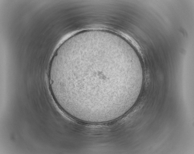 X0000115781429200912111118