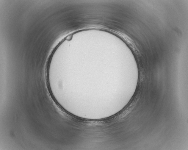 X0000115781430200912111118