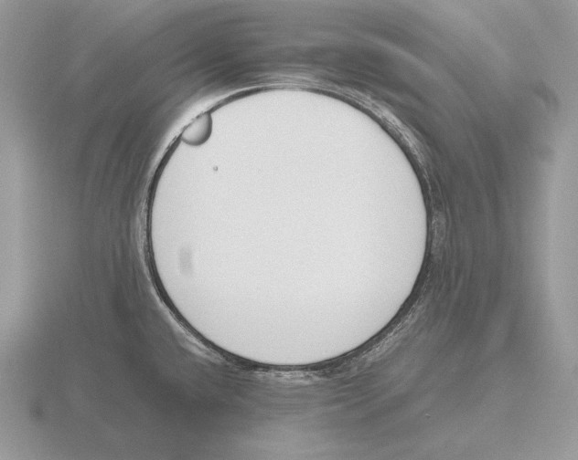 X0000115781432200912111118