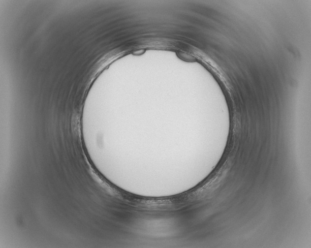 X0000115781433200912111118