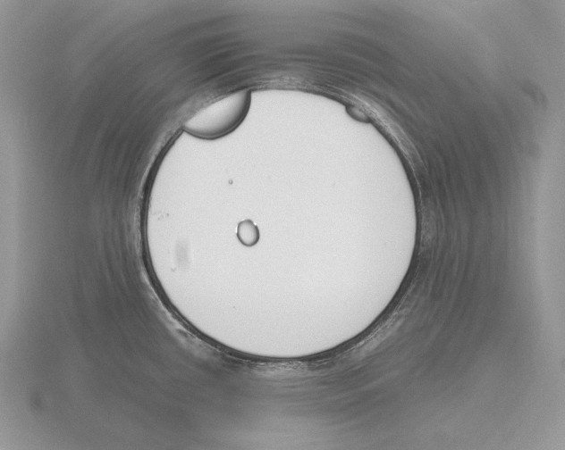 X0000115781434200912111118