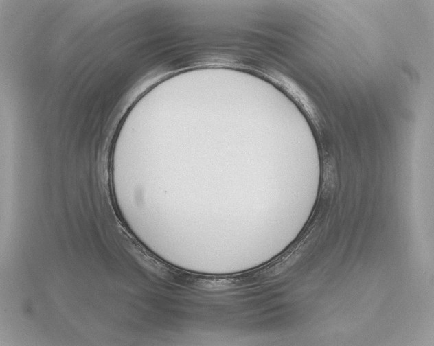 X0000115781435200912111118