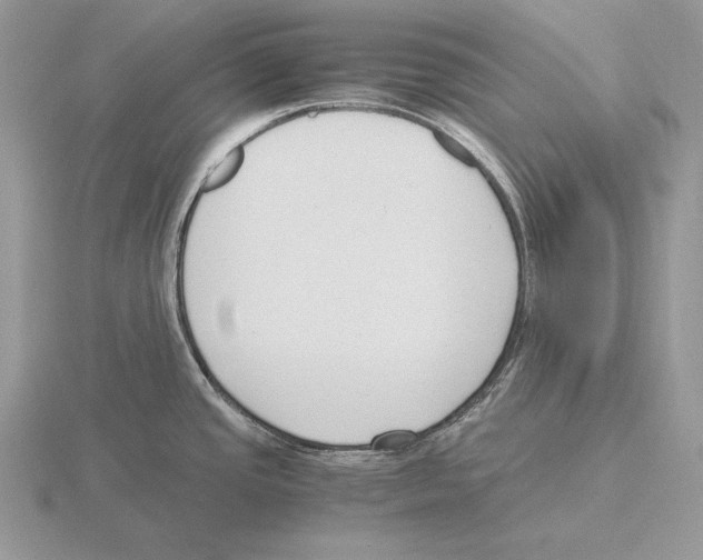 X0000115781437200912111118