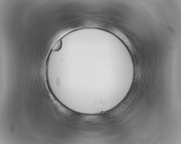 X0000115781439200912111118