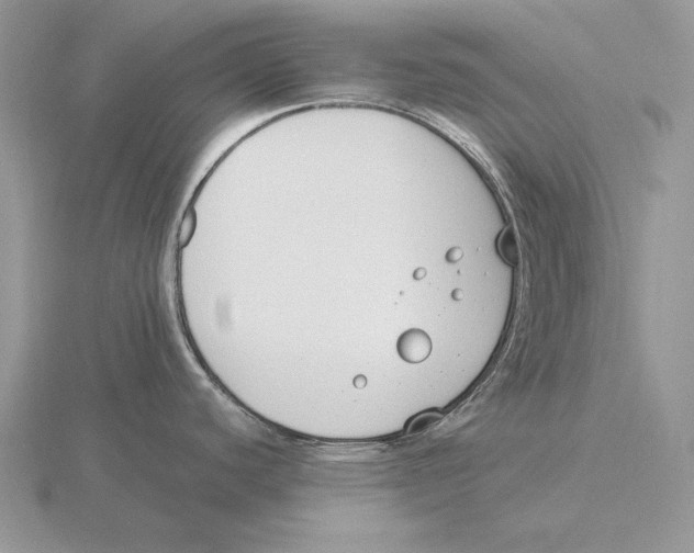 X0000115781440200912111118