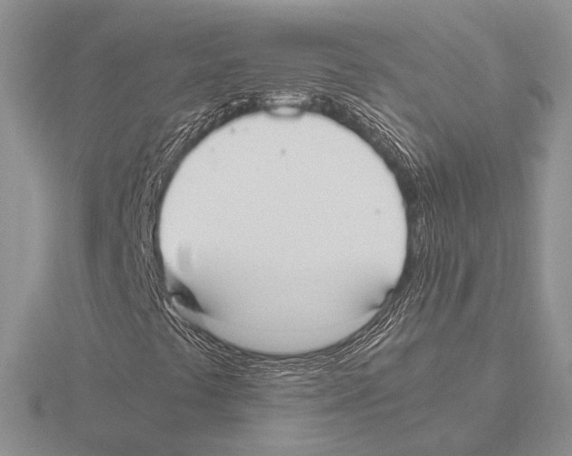 X0000115781441200912111117