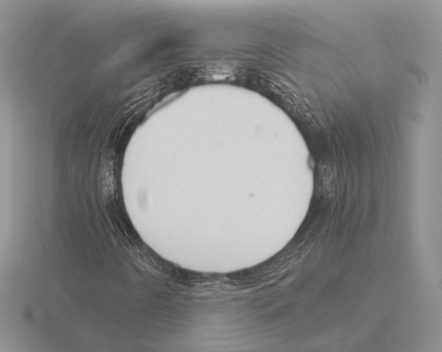 X0000115781442200912111117