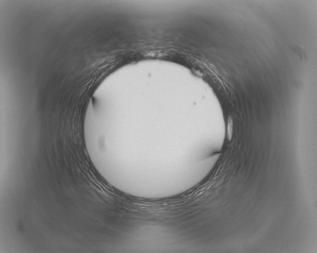 X0000115781444200912111117