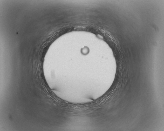 X0000115781445200912111117