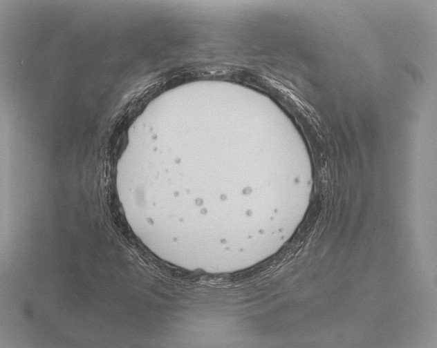 X0000115781447200912111117