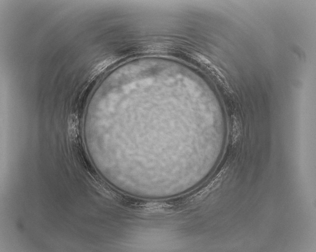 X0000115781449200912111117