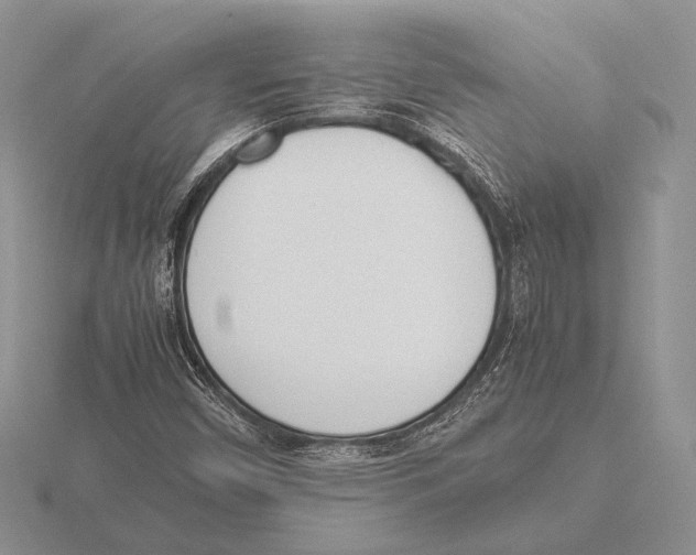 X0000115781450200912111117