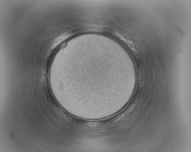 X0000115781453200912111117