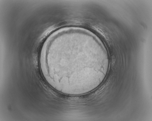 X0000115781455200912111117