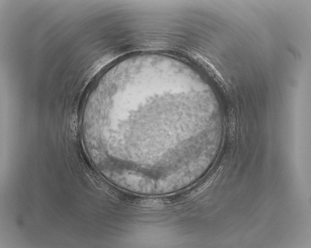 X0000115781457200912111117