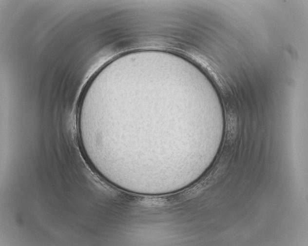 X0000115781466200912111117