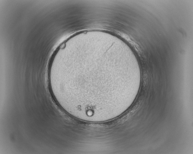 X0000115781469200912111117