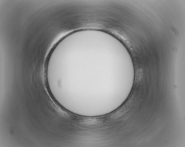 X0000115781470200912111117