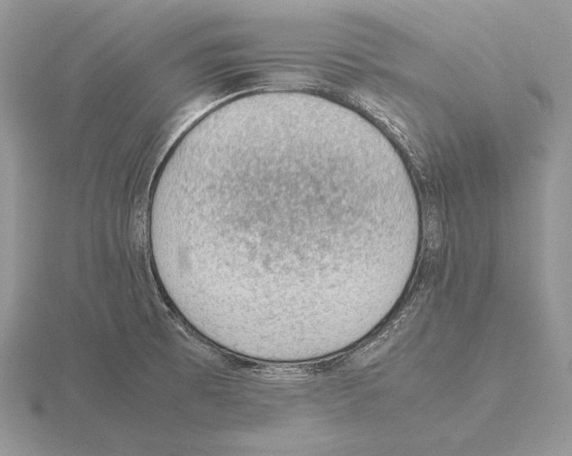 X0000115781473200912111117