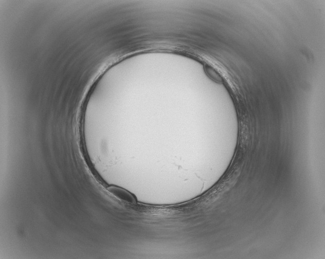 X0000115781475200912111117