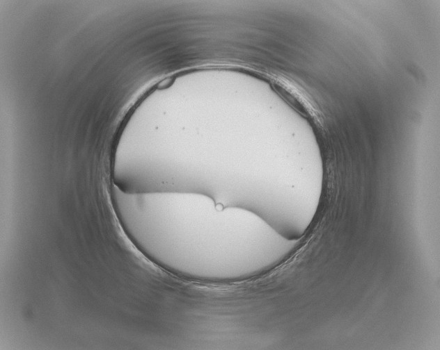 X0000115781476200912111117