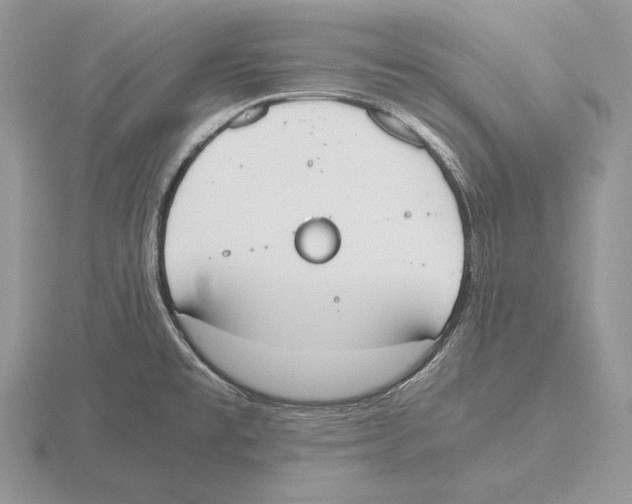 X0000115781477200912111117