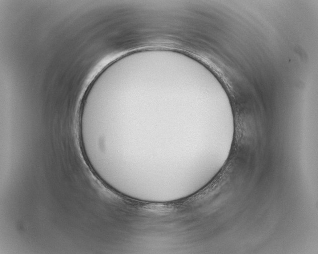 X0000115781478200912111117