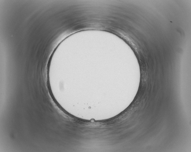 X0000115781479200912111117