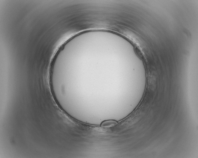 X0000115781480200912111117