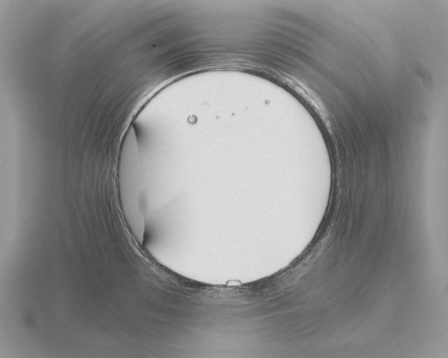 X0000115781481200912111117