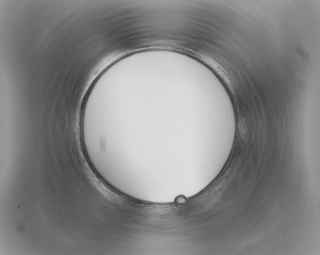 X0000115781482200912111117