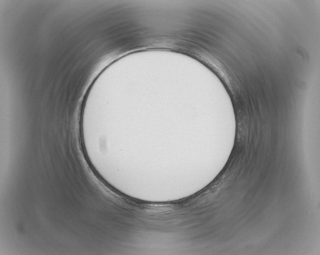 X0000115781483200912111117