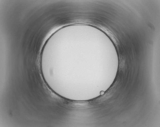 X0000115781486200912111116