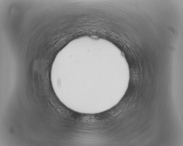 X0000115781489200912111116