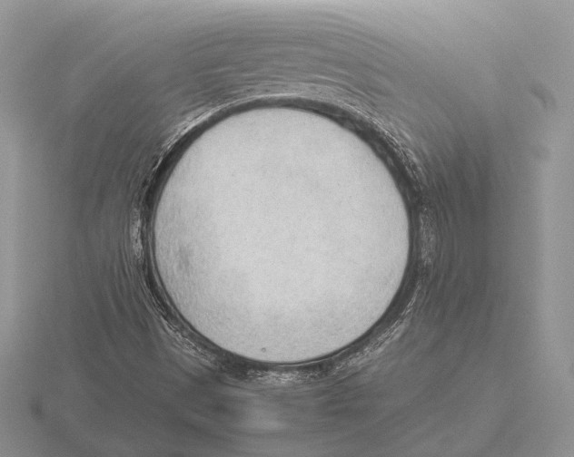 X0000115781497200912111116