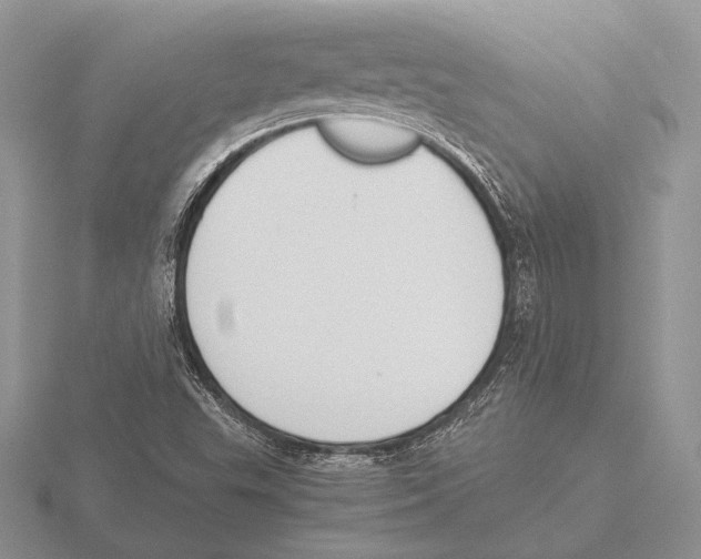 X0000115781503200912111116