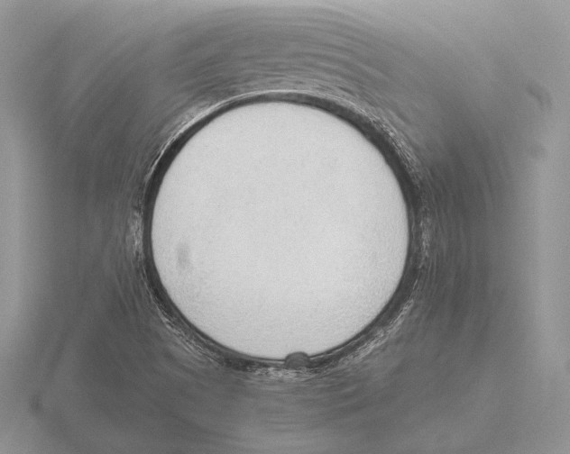 X0000115781505200912111116