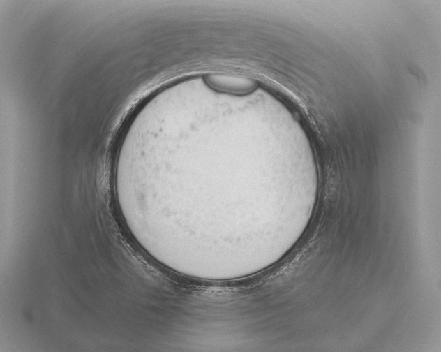 X0000115781506200912111116