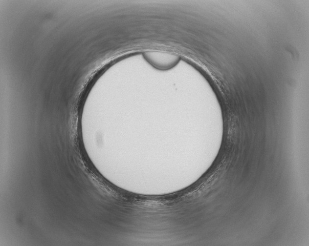 X0000115781507200912111116