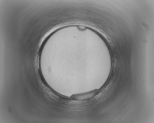 X0000115781510200912111116